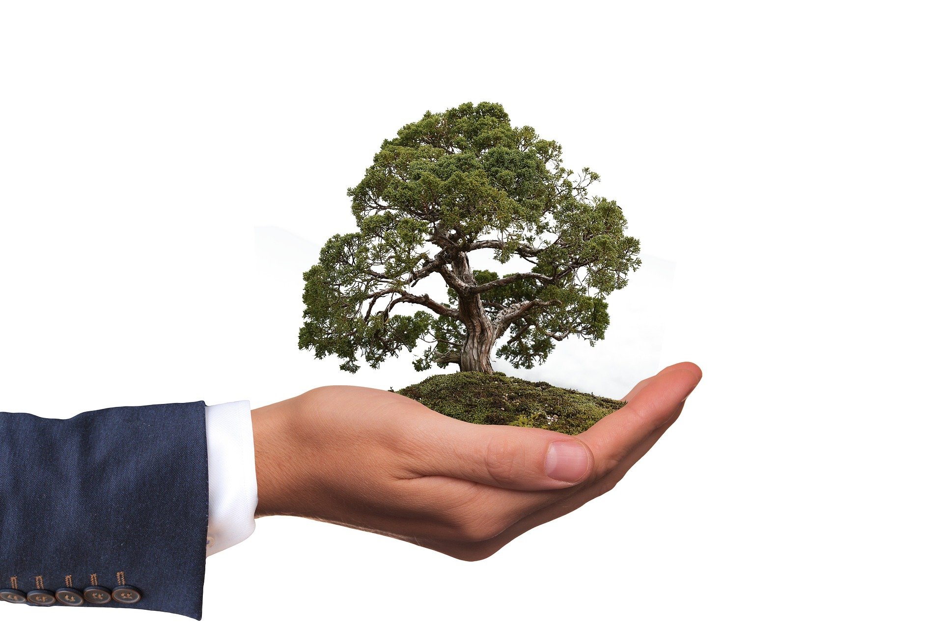Como fazer a minha empresa se comprometer com o meio ambiente